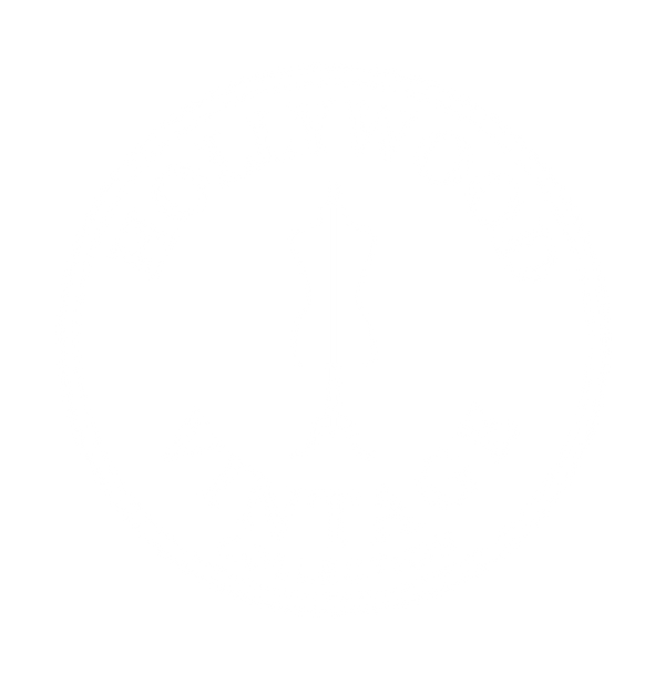 Hollywood Vintage Collection